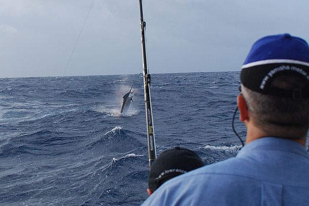 Fisho’s ad man scores 800-pounder